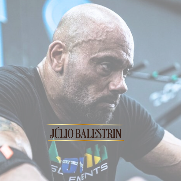 JÚLIO BALESTRINI